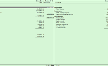 Balance Sheet In Tally