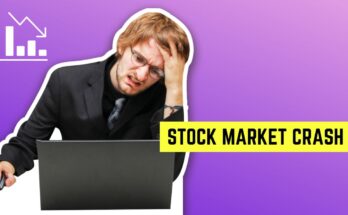 stock market update