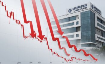 Morepen Labs Q1 Results